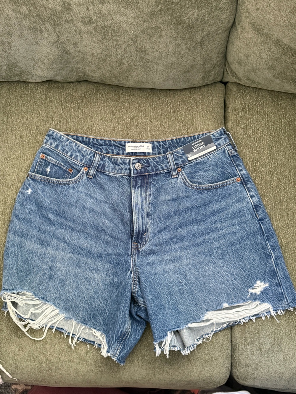 Abercrombie & Fitch Curve Love Shorts